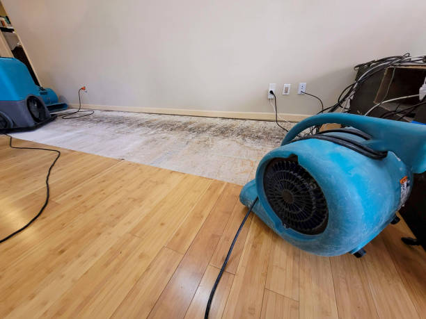 Professional Ceiling Water Damage Repair technician working in Rossville, TN